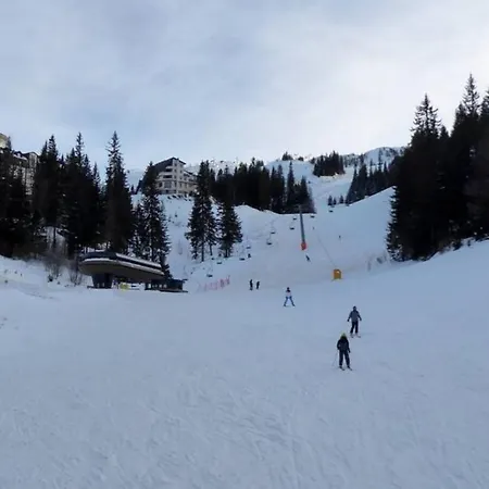 Appartement Alpine Soul