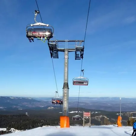 Appartement Alpine Soul *