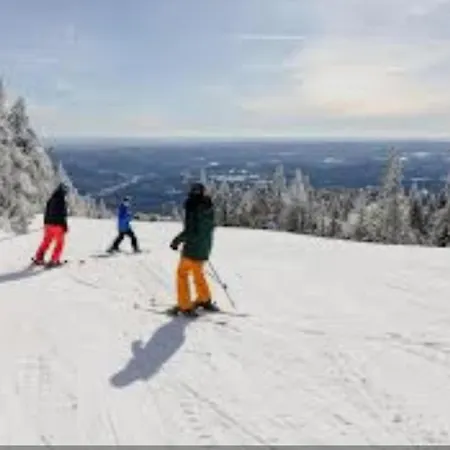 Alpine Soul ヤホリナ