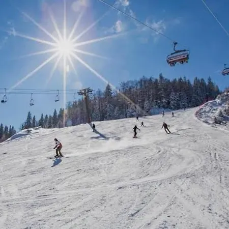 Διαμέρισμα Alpine Soul *