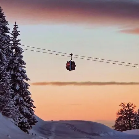 Διαμέρισμα Alpine Soul Τζαχορίνα