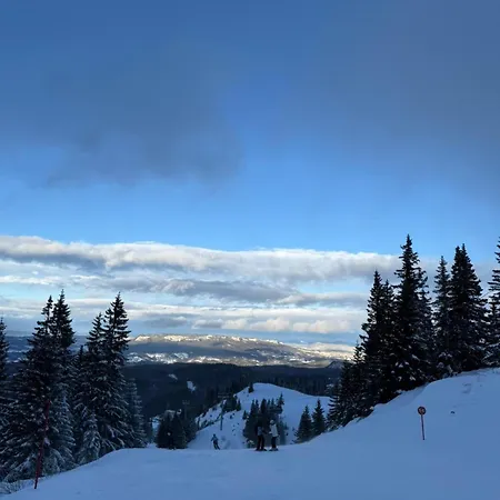 Διαμέρισμα Alpine Soul *