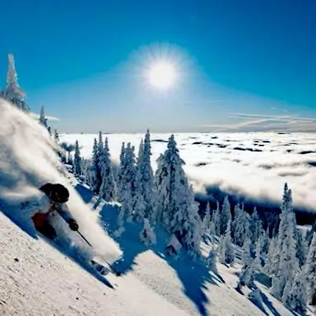 Διαμέρισμα Alpine Soul Τζαχορίνα