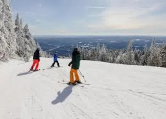 Alpine Soul ヤホリナ