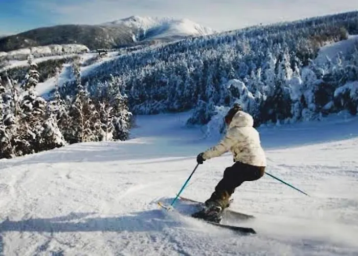 アパート Alpine Soul *