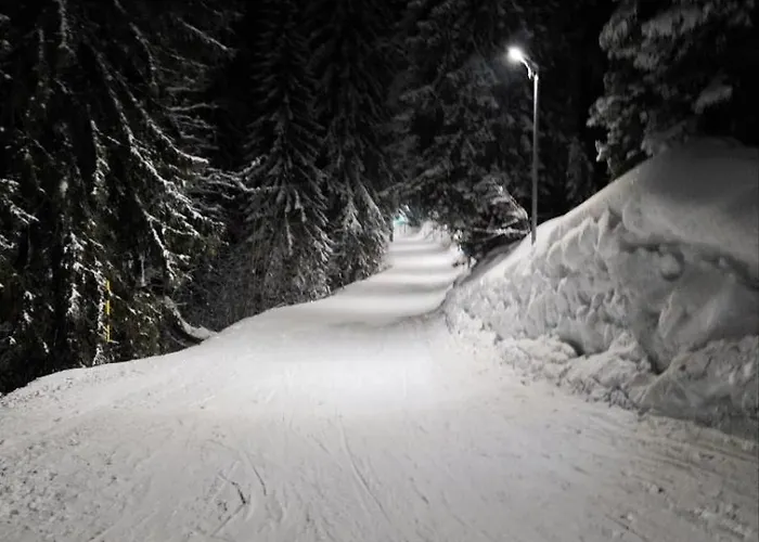 アパート Alpine Soul