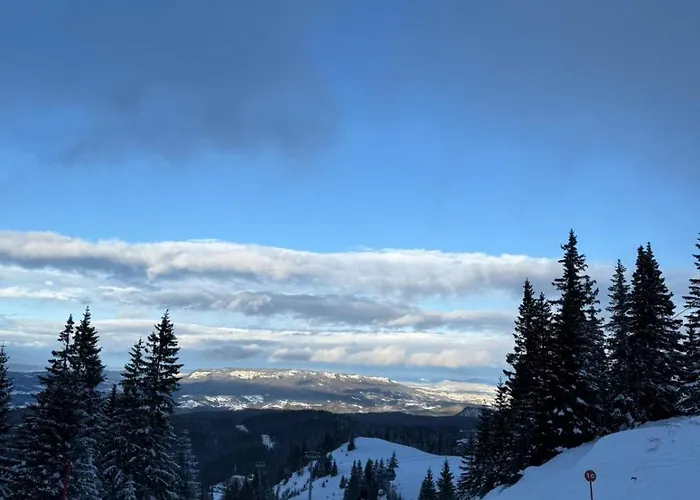 アパート Alpine Soul *