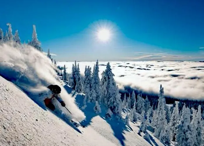 アパート Alpine Soul ヤホリナ