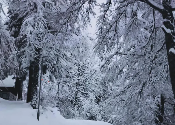 アパート Alpine Soul ヤホリナ